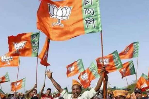 పరిసర రాష్ట్రాల్లో తీర్పు, Delhi ిల్లీ సిమెంట్ బిజెపి ఆధిపత్యానికి గెలిచింది