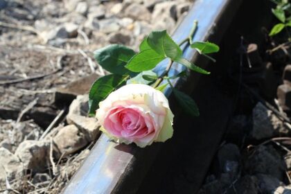 ఆగని బెట్టింగ్‌ యాప్స్‌ యాప్స్‌ .. సత్యసాయి సత్యసాయి జిల్లా హిందూపురంలో యువకుడి యువకుడి ఆత్మహత్య ..