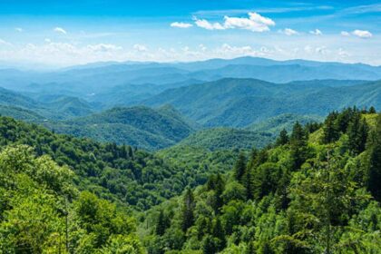 బచావో బచావో .. లక్ష్యం లక్ష్యం .. మావోయిస్టుల మావోయిస్టుల ట్రాప్‌లో భద్రతా బలగాలు!