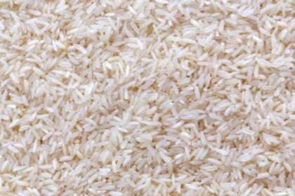 సన్న బియ్యంలో ప్లాస్టిక్‌ బియ్యం ప్రచారంపై చర్యలు చర్యలు ..