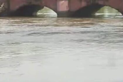 ఆత్మహత్య నుండి స్త్రీని కాపాడటానికి కాప్ హిండన్ కెనాల్ గజియాబాద్‌లోకి దూకుతాడు