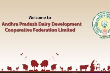 ఏపీ డైరీ డెవలప్‌మెంట్‌ డెవలప్‌మెంట్‌ కోపరేటివ్ ఫెడరేషన్ లో - నోటిఫికేషన్ నోటిఫికేషన్ నోటిఫికేషన్ నోటిఫికేషన్