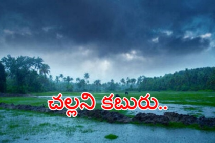 ఏపీ, తెలంగాణను తాకిన నైరుతి రుతుపవనాలు రుతుపవనాలు .. ఈ జిల్లాల్లో భారీ భారీ భారీ