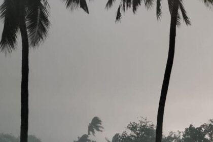 ఏపీలోని పలు జిల్లాల్లో ఈదురుగాలులతో కూడిన భారీ వర్షం వర్షం