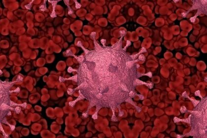 చండీగఢ్ లో 40 ఏళ్ల కోవిడ్ 19 పేషెంట్ పేషెంట్; దేశంలో దేశంలో కొరోనా కేసులు- covid19 మరణం 40 ఏళ్ల కరోనా రోగి చండీగ in ్‌లో మరణిస్తాడు,