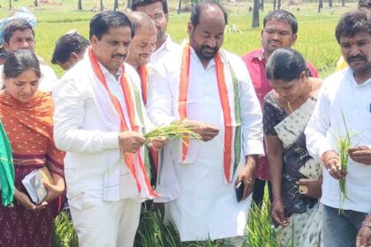 పంట నష్టపోయిన రైతులను రైతులను - ముద్రా న్యూస్