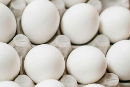 ప్రతిరోజూ గుడ్లు తినడం అంతిమ డాస్ & చేయనివి