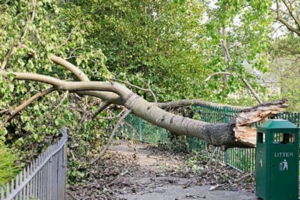 విశాఖలో విషాదం .. స్కూటీపై స్కూటీపై వెళ్తున్న మహిళ .. ఒక్కసారిగా ఒక్కసారిగా కూలిపోయిన చెట్టు .. ఏం ఏం ఏం జరుగుతుందో జరుగుతుందో ..