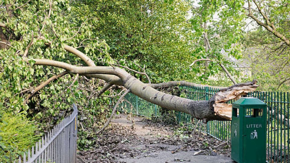 విశాఖలో విషాదం .. స్కూటీపై స్కూటీపై వెళ్తున్న మహిళ .. ఒక్కసారిగా ఒక్కసారిగా కూలిపోయిన చెట్టు .. ఏం ఏం ఏం జరుగుతుందో జరుగుతుందో ..