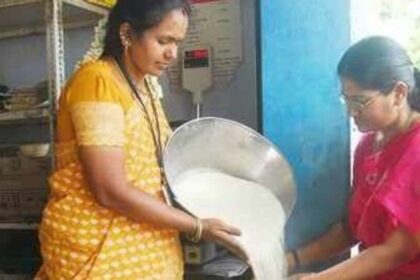 ఏపీలో రేషన్ షాపులు షాపులు పునఃప్రారంభం - పంపిణీ పంపిణీ తేదీలు తేదీలు, టైమింగ్స్- రేషన్ షాపులు ఈ రోజు నుండి ఆండ్రాప్రదేశ్‌లో తిరిగి తెరవడానికి ఇక్కడ కీలకమైన వివరాలు, ఆంధ్ర ప్రదేశ్ న్యూస్ న్యూస్